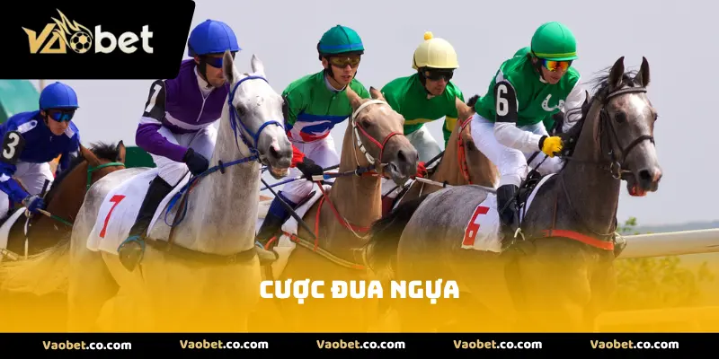 Cược Đua Ngựa